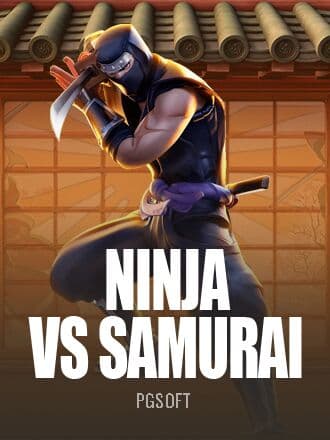 Ninja vs Samurai