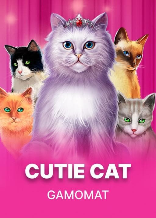 Cutie Cat