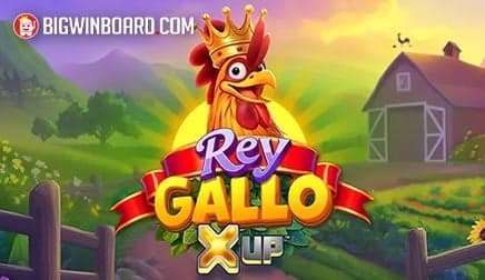 Rey Gallo X UP
