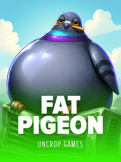 Fat Pigeon